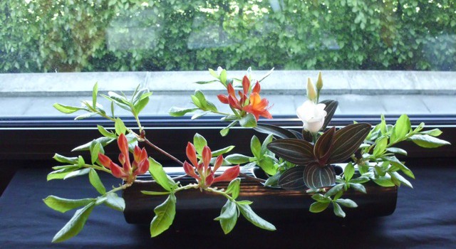 Niederländisch-Deutsche Ikebana-Ausstellung Pfingsten 2015 Niederländisch-Deutsche Ikebana-Ausstellung Pfingsten 2015